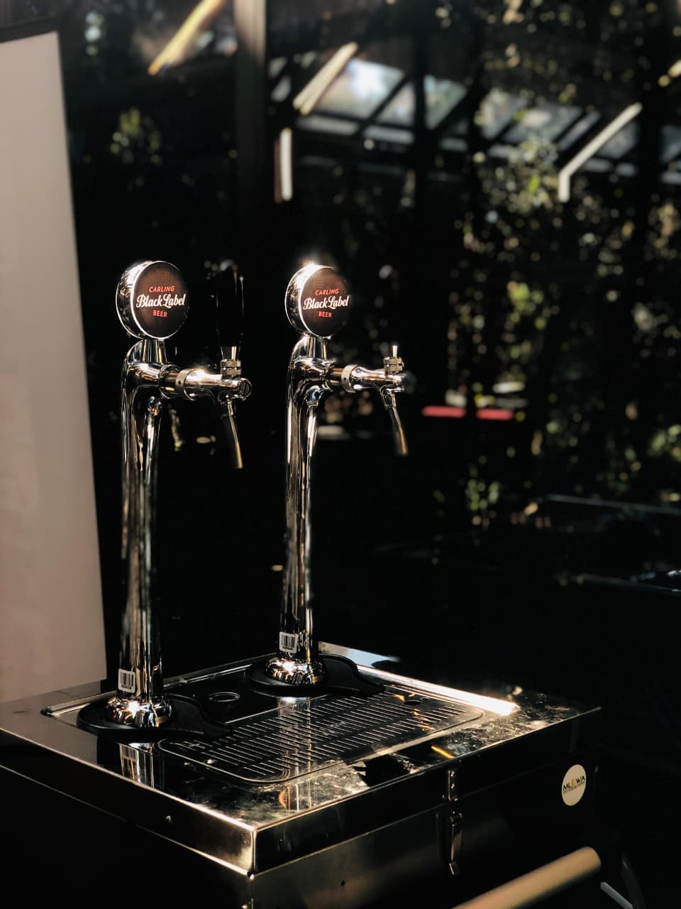Festival cooler draught unit with traditional taps